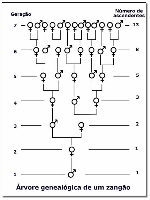 2ª Lei de Newton - Fórum TutorBrasil - Matemática, Português