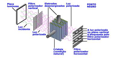 Esquema de uma tela de cristal líquido