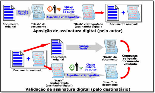 O que é o Código Hash presente no documento assinado?